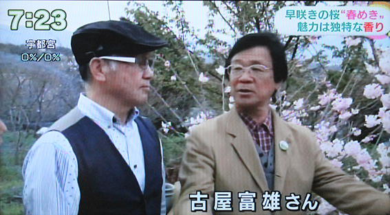 NHK