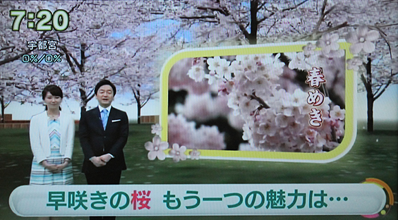 NHK