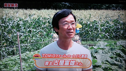 TVKの放送