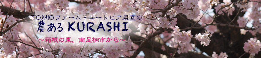 さくら