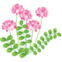 お花